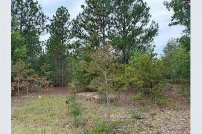 000 C0Llum Pond Road, Wagener, SC 29164 - Photo 1