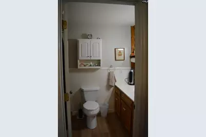 591 Molly Creek Molly Creek Circle, Ridgeway, SC 29130 - Photo 22