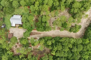 1634 Huttos Chapel, Barnwell, SC 29812 - Photo 38