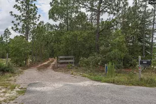 755 Bushberry Rd, Pelion, SC 29123 - Photo 20