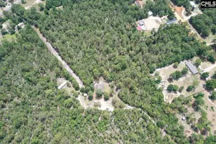 755 Bushberry Rd, Pelion, SC 29123 - Photo 10