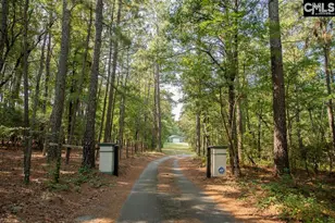 390 McLee Rd, Lexington, SC 29073 - Photo 6
