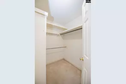 390 McLee Road, Lexington, SC 29073 - Photo 68
