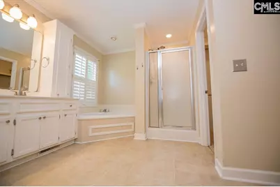 390 McLee Road, Lexington, SC 29073 - Photo 66