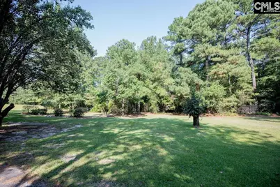 390 McLee Road, Lexington, SC 29073 - Photo 90