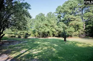 390 McLee Rd, Lexington, SC 29073 - Photo 90