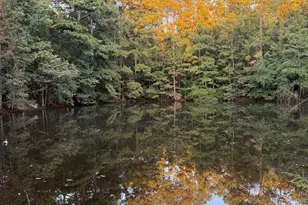 2 Hwy 76, Newberry, SC 29108 - Photo 1