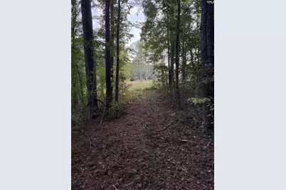 2 Hwy 76, Newberry, SC 29108 - Photo 8