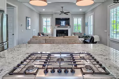 552 River Camp Drive, Lexington, SC 29072 - Photo 12