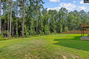 719 Cold Spgs Ln, Irmo, SC 29063 - Photo 62