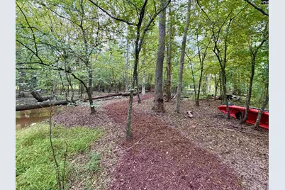 357 Bent Oak Drive, Chapin, SC 29036 - Photo 4