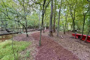 357 Bent Oak Dr, Chapin, SC 29036 - Photo 4