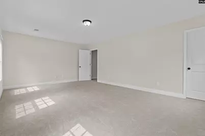 357 Bent Oak Drive, Chapin, SC 29036 - Photo 28