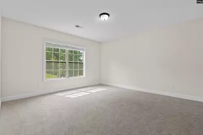 357 Bent Oak Drive, Chapin, SC 29036 - Photo 28
