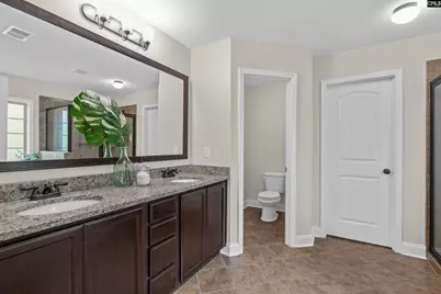 357 Bent Oak Drive, Chapin, SC 29036 - Photo 20