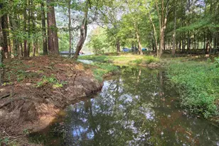 357 Bent Oak Dr, Chapin, SC 29036 - Photo 4