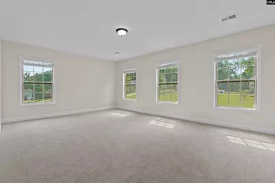 357 Bent Oak Drive, Chapin, SC 29036 - Photo 24