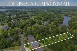 357 Bent Oak Dr, Chapin, SC 29036 - Photo 42