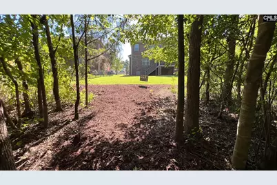 357 Bent Oak Drive, Chapin, SC 29036 - Photo 38