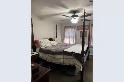 117 Micala Drive, West Columbia, SC 29170 - Photo 22