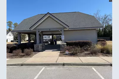 141 Coatbridge Drive, Blythewood, SC 29016 - Photo 46