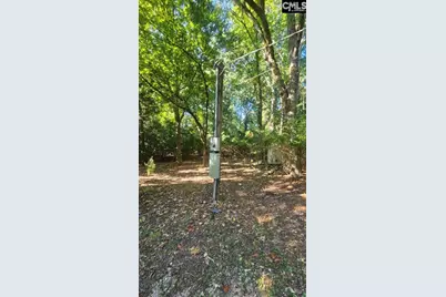 142 Crystal Creek Cr, Chapin, SC 29036 - Photo 4