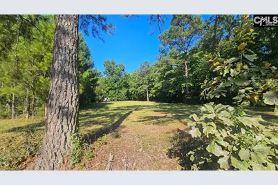 142 Crystal Creek Cr, Chapin, SC 29036 - Photo 6