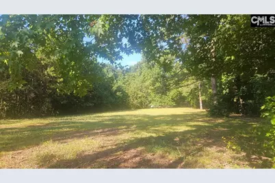 142 Crystal Creek Cr, Chapin, SC 29036 - Photo 2