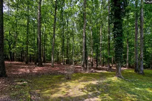 114 Garris McCabe, Blythewood, SC 29016 - Photo 34