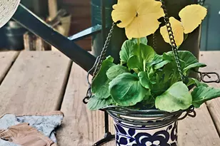 5209 Columbia Rd, Orangeburg, SC 29118 - Photo 78