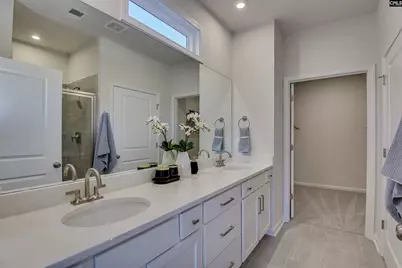 711 Top Line Street, Chapin, SC 29036 - Photo 16