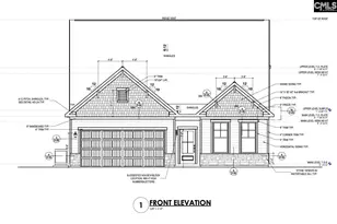 711 Topline St, Chapin, SC 29036 - Photo 36