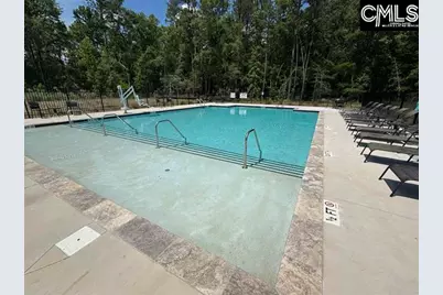 619 Griffon Drive, Chapin, SC 29036 - Photo 44
