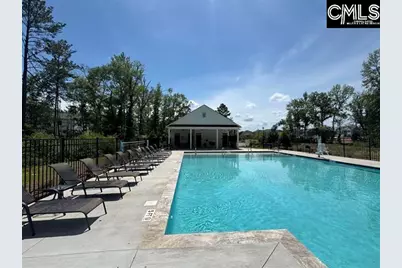 619 Griffon Drive, Chapin, SC 29036 - Photo 2