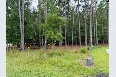 Lot 136 Stewart Landing Drive #136, Prosperity, SC 29167 - Photo 4