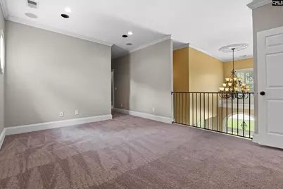 225 Sheringham Road, Columbia, SC 29212 - Photo 30