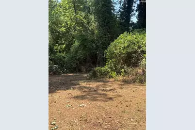 1111 Standish Street, Columbia, SC 29203 - Photo 34