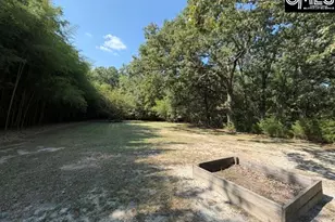 409 Travis Ave, Saluda, SC 29138 - Photo 36