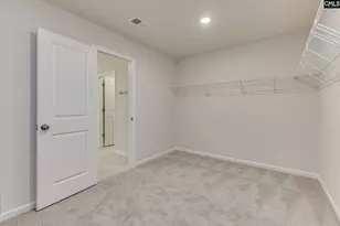 306 Summer Orch Dr, Lexington, SC 29072 - Photo 32