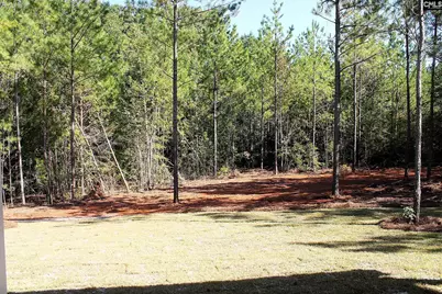 628 Old Dutch Road, Little Mountain, SC 29075 - Photo 24