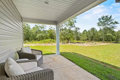168 Calm Citadel Drive, Pelion, SC 29123 - Photo 4