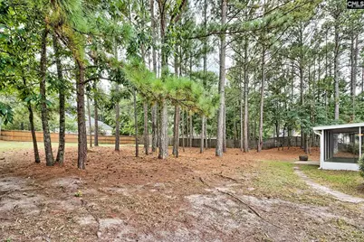 301 Knotts Circle, Lexington, SC 29073 - Photo 44