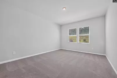 541 Carters Grove Lane, Blythewood, SC 29016 - Photo 12