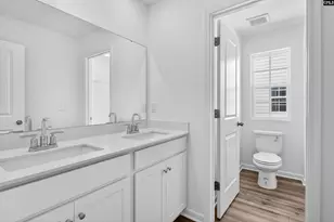 733 Ben Gunn Run, Gilbert, SC 29054 - Photo 32
