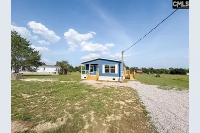 1369 Track Road, Pelion, SC 29123 - Photo 4