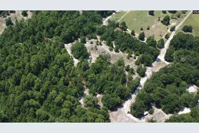 00 Poinsettia Road, Wagener, SC 29164 - Photo 10