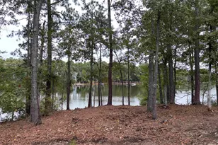 62 Hubbard Ct, Columbia, SC 29229 - Photo 54