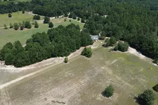 299 Poinsettia Rd Lot A, Wagener, SC 29164 - Photo 2