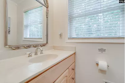 445 Lakemont Drive, Chapin, SC 29036 - Photo 22