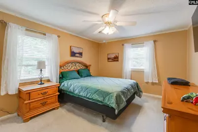 445 Lakemont Drive, Chapin, SC 29036 - Photo 30